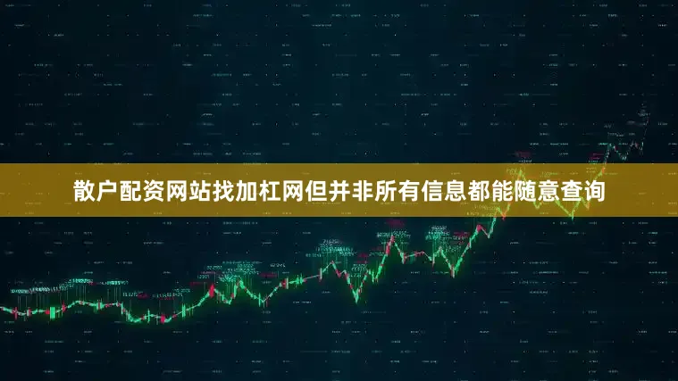 散户配资网站找加杠网但并非所有信息都能随意查询