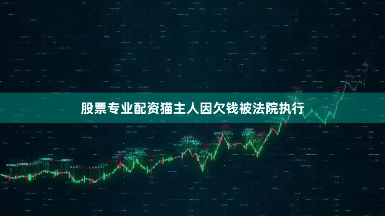 股票专业配资猫主人因欠钱被法院执行
