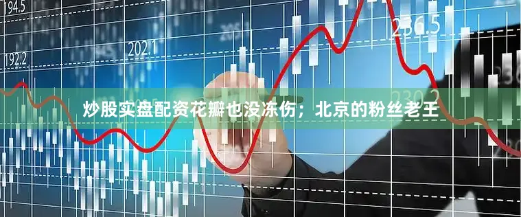炒股实盘配资花瓣也没冻伤；北京的粉丝老王
