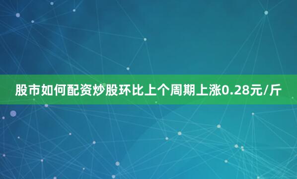 股市如何配资炒股环比上个周期上涨0.28元/斤